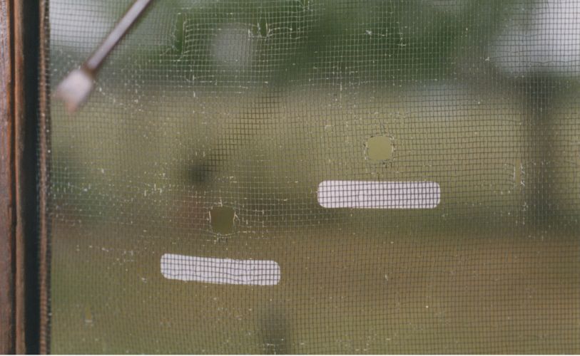 window screen with 2 bullet holes
