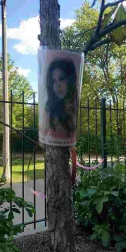 In Memory of Alexandria Burgos poster on tree
