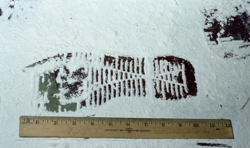 Crime Scene, picture of foot print in snow and ruler sitting next to it