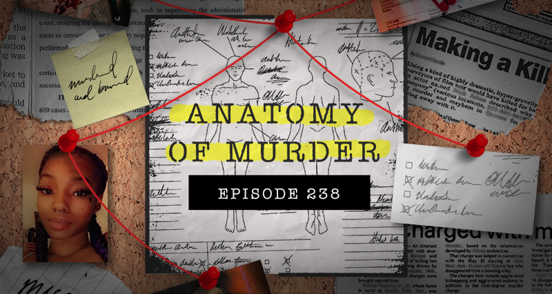 Episode 238